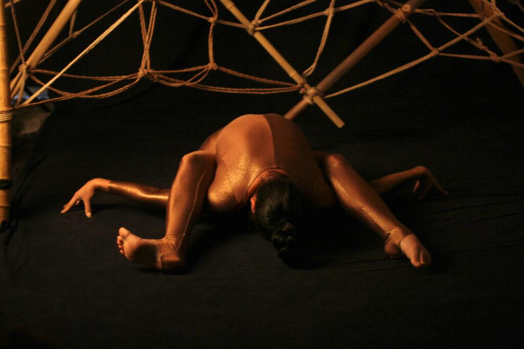 Spectacle TOILE : la créature araignée qui réalise des contorsions ou des capillotractions aériennes, tisse sa toile de cordes et réalise une performance douce et poétique dans un espace de l'événement.